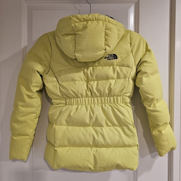 The North Face🔥🔥2X HOST PICK🔥🔥 Summit Series 900 Goose Down Jacket - Picture 2 of 12